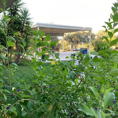 Gioia In Collina Torrevecchia Teatina