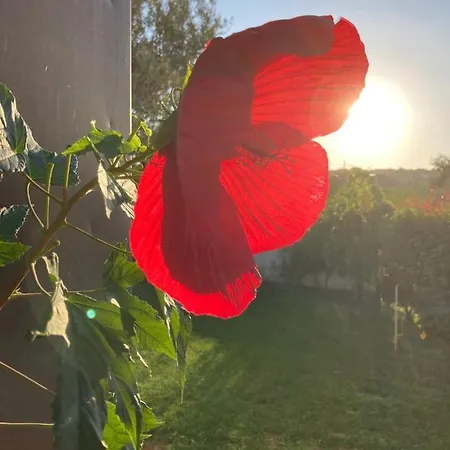 Gioia In Collina Alojamento de Acomodação e Pequeno-almoço Torrevecchia Teatina