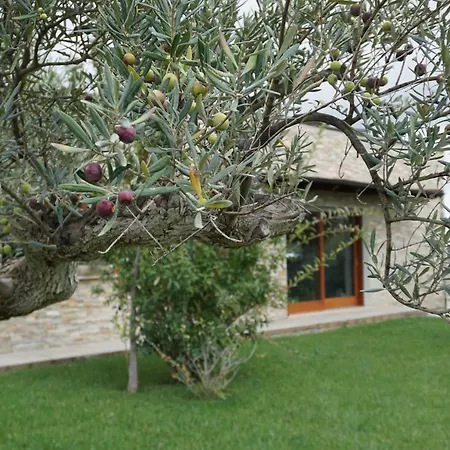 Bed & Breakfast Gioia In Collina Torrevecchia Teatina