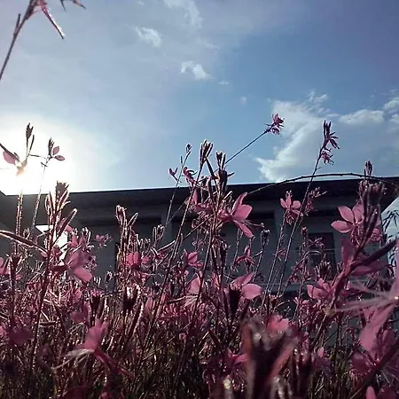 Gioia In Collina Bed & Breakfast