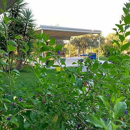 Gioia In Collina Torrevecchia Teatina