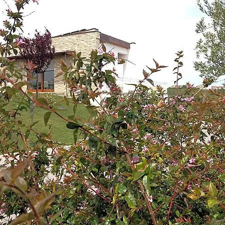 Bed & Breakfast Gioia In Collina 3*