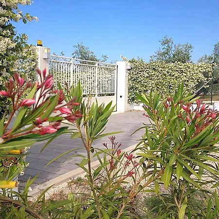 Bed & Breakfast Gioia In Collina Torrevecchia Teatina