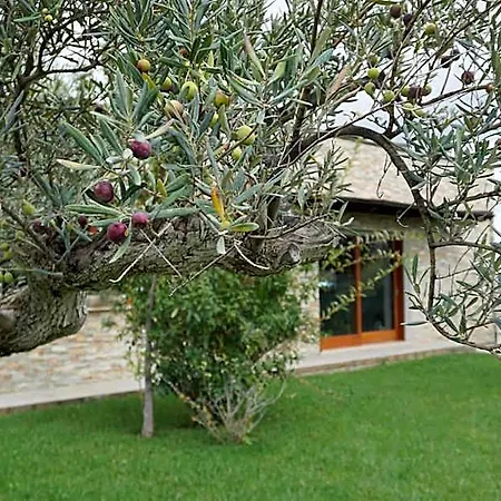 Gioia In Collina 3* Torrevecchia Teatina