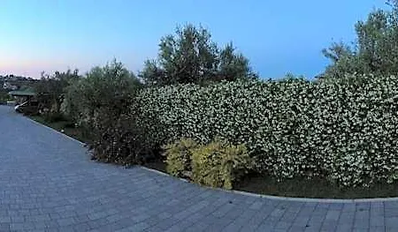Gioia In Collina Torrevecchia Teatina