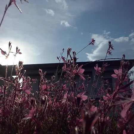 Alojamento de Acomodação e Pequeno-almoço Gioia In Collina 3*