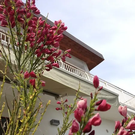 Gioia In Collina Bed & Breakfast Torrevecchia Teatina