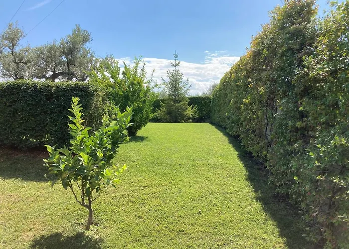 Gioia In Collina Torrevecchia Teatina