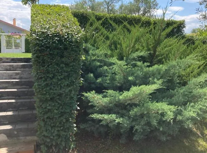 Gioia In Collina Отель типа 