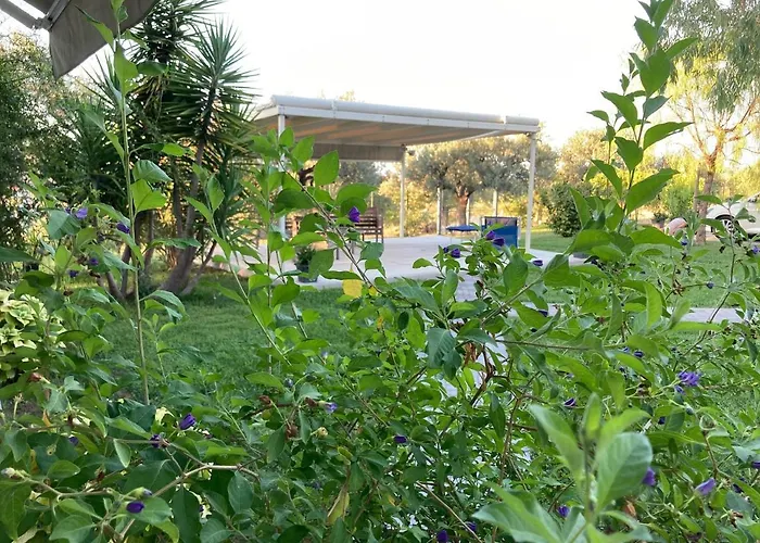 Gioia In Collina Torrevecchia Teatina