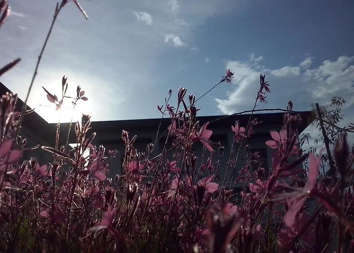 לינה וארוחת בוקר Gioia In Collina 3*