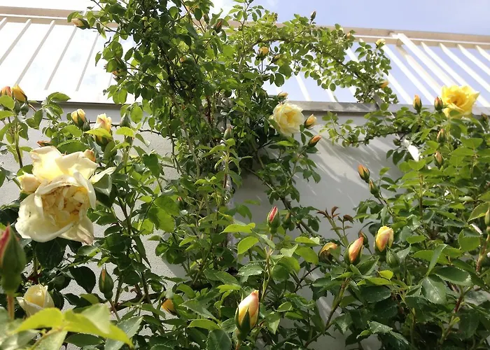 Gioia In Collina 3* Torrevecchia Teatina