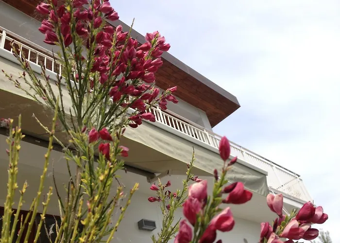 Gioia In Collina לינה וארוחת בוקר Torrevecchia Teatina