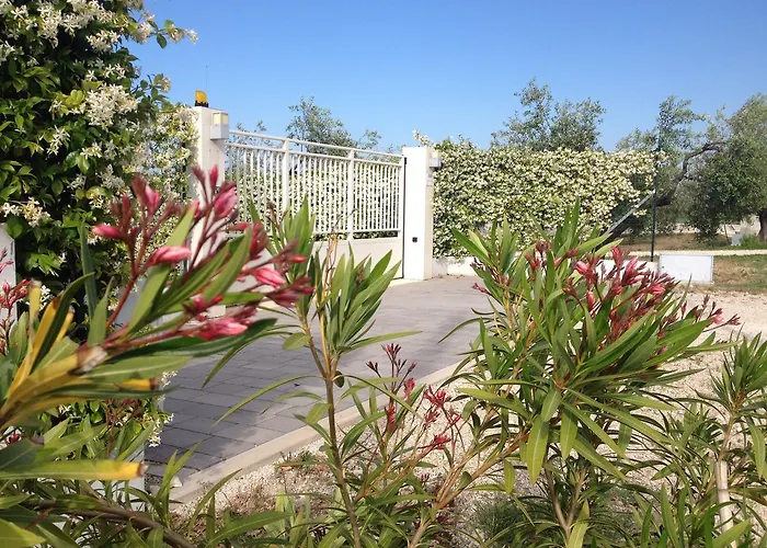 Gioia In Collina Torrevecchia Teatina